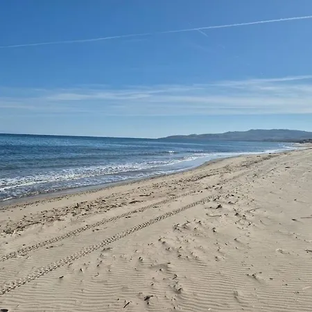 Mezzapp Arboriamar Nord Sardegna